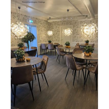 ByRydens - Candeeiro suspenso GROSS 8xG9/4W/230V fumado/castanho diâmetro 50 cm