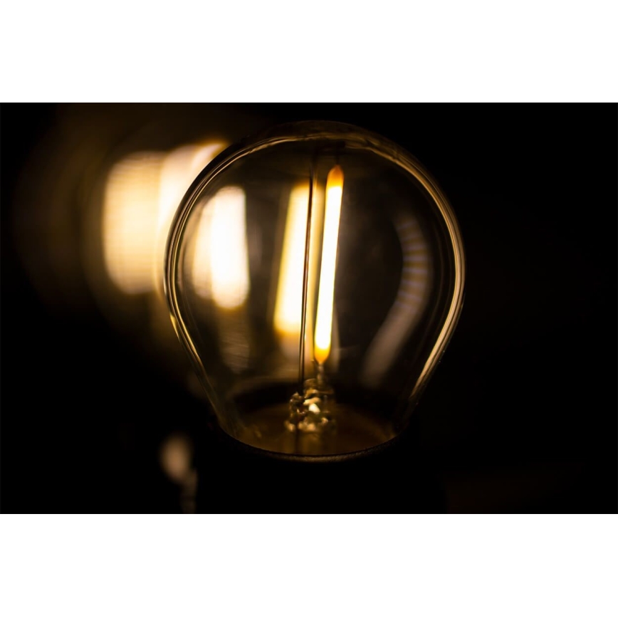 Cadeia decorativa exterior MIMOSA 20xE27/1,3W/230V IP44 10m