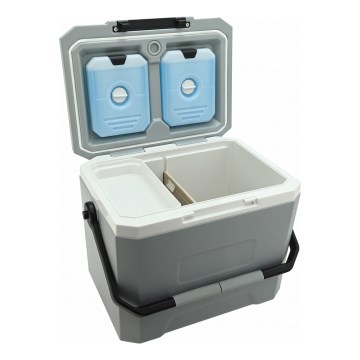 Caixa térmica com bolsa de gel refrigerante, 16 l, cinzenta