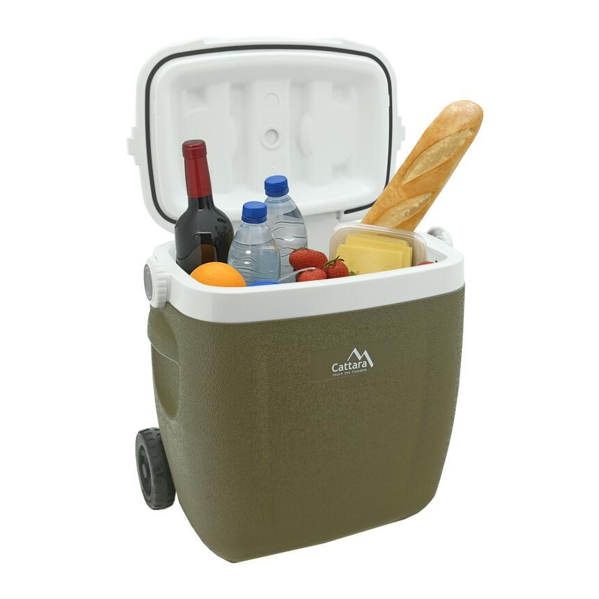 Caixa térmica portátil 16 l, verde