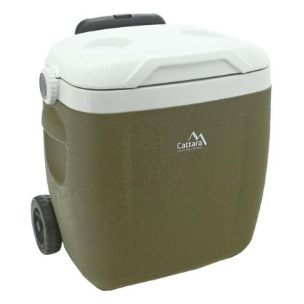 Caixa térmica portátil 16 l, verde