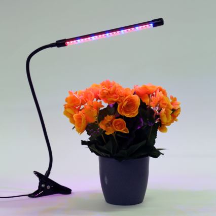 Candeeiro com clipe LED com regulação para iluminar plantas LED/3W/230V preto