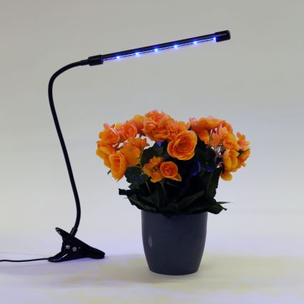 Candeeiro com clipe LED com regulação para iluminar plantas LED/3W/230V preto