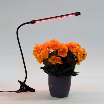 Candeeiro com clipe LED com regulação para iluminar plantas LED/3W/230V preto