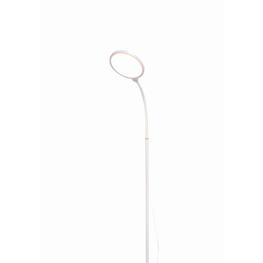 Candeeiro de chão LED com regulação 2em1 LED/10W/230V branco