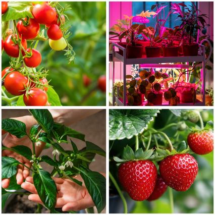 Candeeiro de chão LED flexível com regulação para o cultivo de plantas VITARO 4xLED/7,5W/230V preto