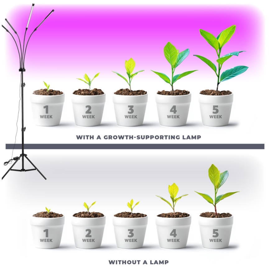 Candeeiro de chão LED flexível com regulação para o cultivo de plantas VITARO 4xLED/7,5W/230V preto