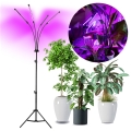 Candeeiro de chão LED flexível com regulação para o cultivo de plantas VITARO 4xLED/7,5W/230V preto