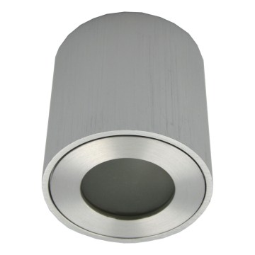 Candeeiro de exterior tipo spot FARA 1xGU10/30W/230V IP54 prateado