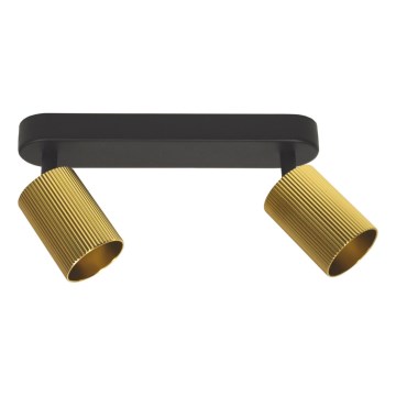 Candeeiro de focos ELAN 2xGU10/30W/230V dourado/preto