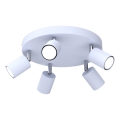 Candeeiro de focos FUN 5xGU10/8W/230V azul