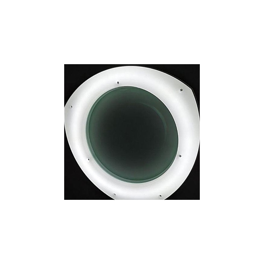 Candeeiro de mesa regulável com uma lupa e clipe LED/8W/12/230V