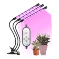 Candeeiro de mesa regulável LED com um clip para plantas em crescimento LED/12W/5V