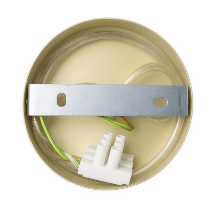 Candeeiro de parede CAPITAL 1xGX53/15W/230V dourado