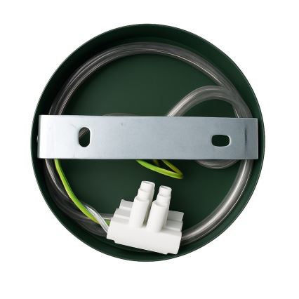 Candeeiro de parede CAPITAL 1xGX53/15W/230V verde