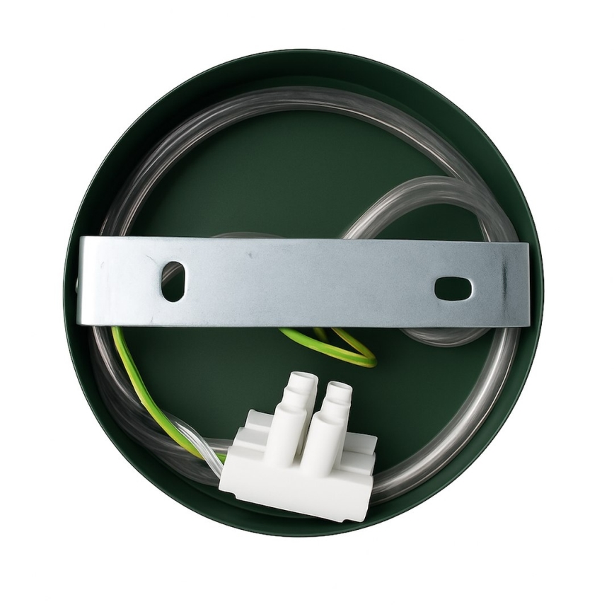 Candeeiro de parede CAPITAL 1xGX53/15W/230V verde