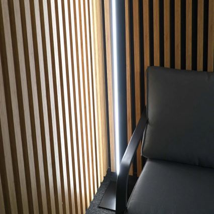 Candeeiro de pé BERNADETTA LED/28W/230V 4000K preto