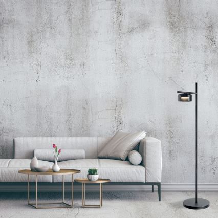 Candeeiro de pé LED OFELIA 1xGX53/6W/230V preto/fumado