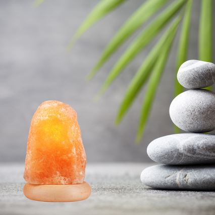 Candeeiro de sal SALLY 1xE14/25W/230V Amieiro 1,5 kg