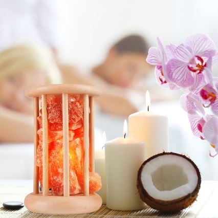 Candeeiro de sal SALLY 1xE14/25W/230V