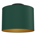 Candeeiro de tecto ARDEN 1xE27/15W/230V diâmetro 25 cm verde