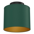 Candeeiro de tecto ARDEN 1xE27/15W/230V Ø 18 cm verde