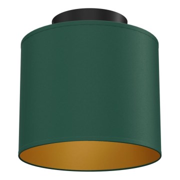 Candeeiro de tecto ARDEN 1xE27/15W/230V Ø 18 cm verde