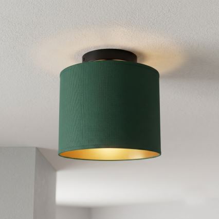 Candeeiro de tecto ARDEN 1xE27/15W/230V Ø 18 cm verde