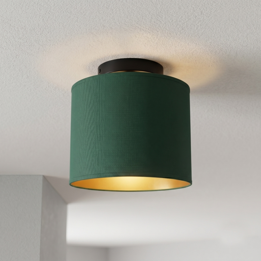 Candeeiro de tecto ARDEN 1xE27/15W/230V Ø 18 cm verde