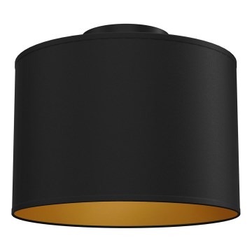 Candeeiro de tecto ARDEN 1xE27/15W/230V Ø 25 cm preto