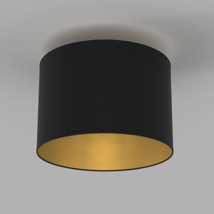 Candeeiro de tecto ARDEN 1xE27/15W/230V Ø 25 cm preto