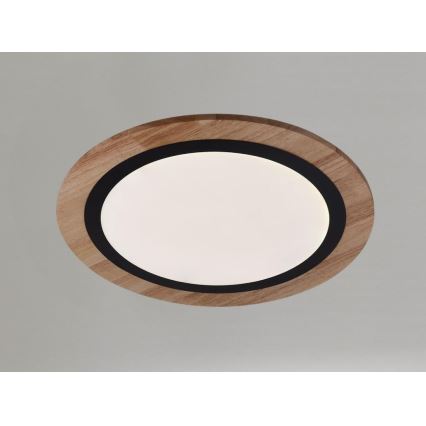 Candeeiro de tecto dimerizável LED/25W/230V 3000-6500K + controlo remoto