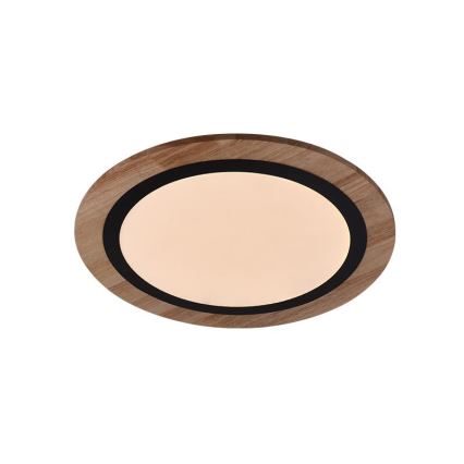 Candeeiro de tecto dimerizável LED/25W/230V 3000-6500K + controlo remoto
