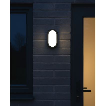 Candeeiro de tecto exterior LED/8W/230V 4200K IP64 preto