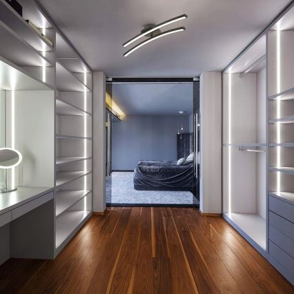 Candeeiro de tecto LED 2xLED/6W/230V 3000K preto