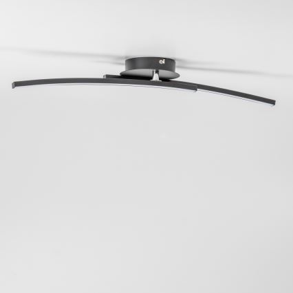 Candeeiro de tecto LED 2xLED/6W/230V, preto