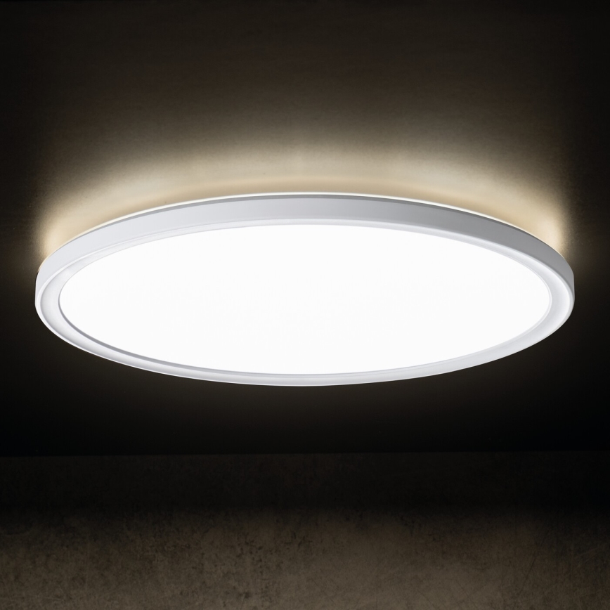 Candeeiro de tecto LED AZPO LED/18,5W/230V 3000/4000/6000K diâmetro 29 cm IP54 branco