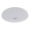 Candeeiro de tecto LED com sensor de crepúsculo e de movimento MORETTI LED/24W/230V Ø 30 cm IP40 6500K