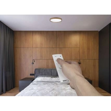 Luminária de teto dimerizável ILVI LED/30W/230V 2700-6500K diâmetro 40 cm bege + controlo remoto