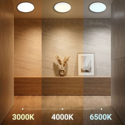 Candeeiro de tecto LED HUGO LED/12/18/24W/230V 3000/4000/6500K Ø 30 cm IP54 branco