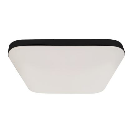 Candeeiro de tecto LED NEMO LED/36W/230V 50x50 cm preto