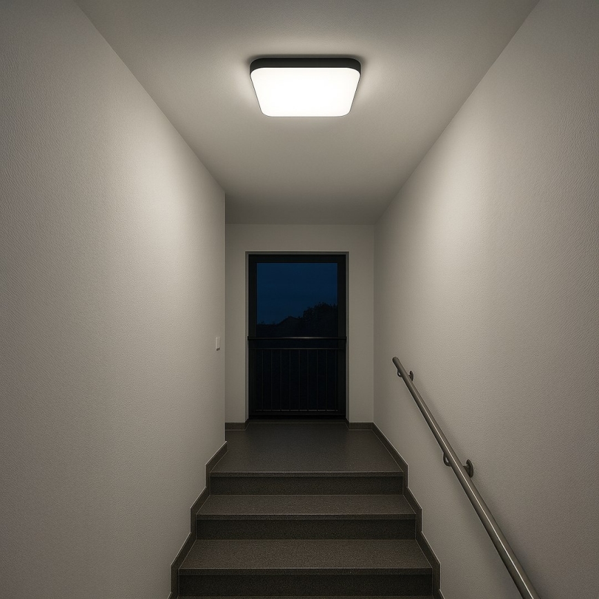 Candeeiro de tecto LED NEMO LED/36W/230V 50x50 cm preto