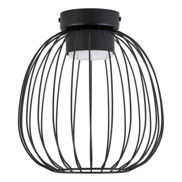 Candeeiro de tecto OVELLA 1xGX53/10W/230V Ø 25 cm preto