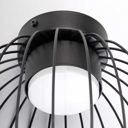 Candeeiro de tecto OVELLA 1xGX53/10W/230V Ø 25 cm preto