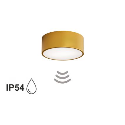 Candeeiro de tecto para casa de banho CLEO com sensor, 1xE27/24W/230V, diâmetro 20 cm, IP54, dourado