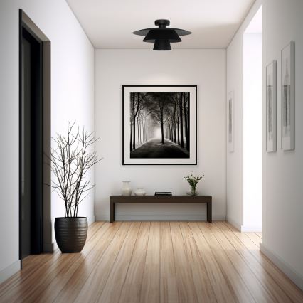 Candeeiro de tecto PLATO 1xE27/15W/230V Ø 32 cm preto