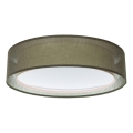 Candeeiro de tecto PURO 2xE27/40W/230V diâmetro 60 cm verde