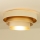 Candeeiro de tecto WENTA 1xE27/60W/230V Ø 50 cm bege/dourado