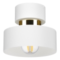 Candeeiro de teto IGNIA 1xE27/60W/230V branco/dourado
