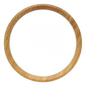 Candeeiro de teto LED/18W/230V 3000/4000/6500K Ø 23 cm bege